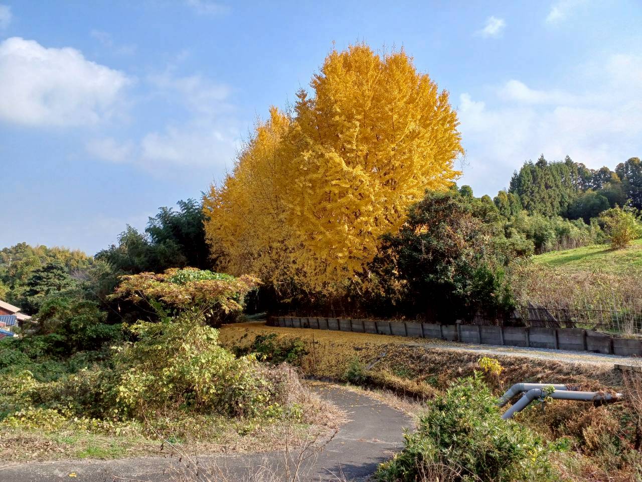 直方新入コース の風景