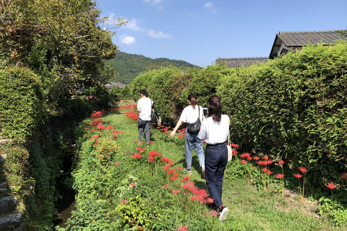 下本庄おおぐすコース の風景