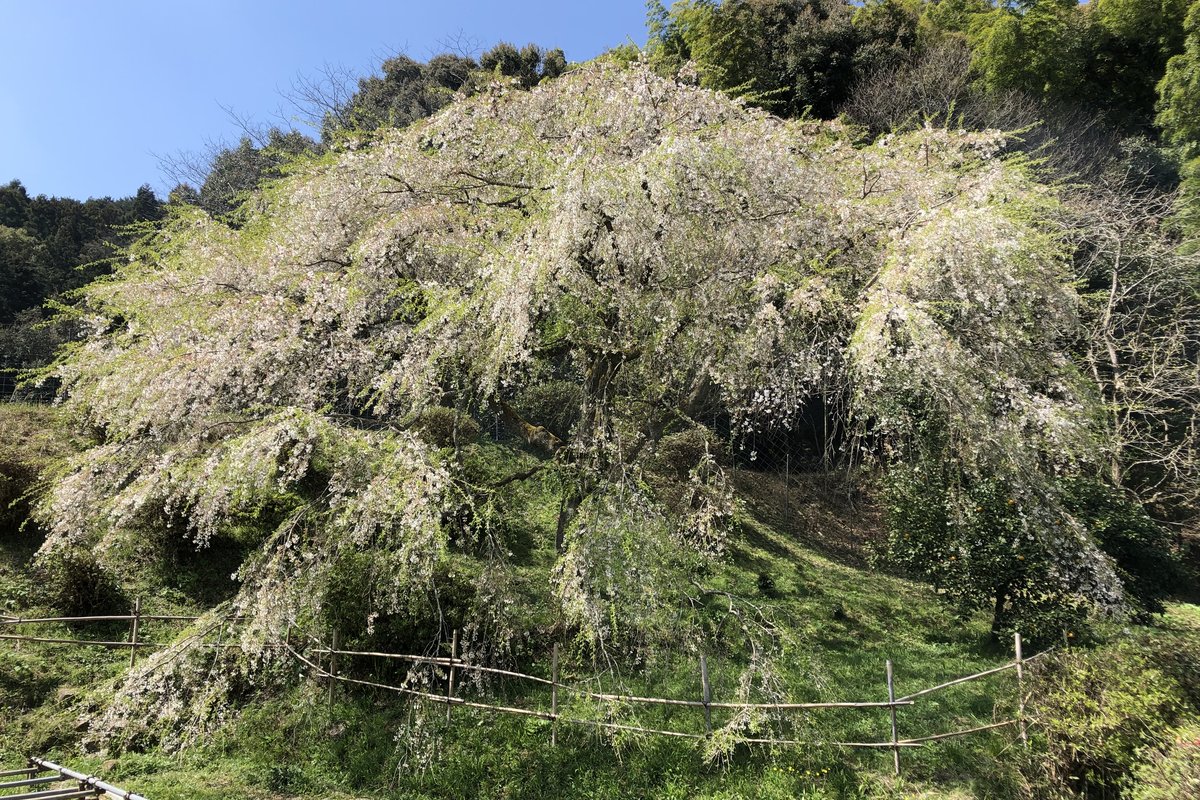 伝法寺もんじゅコース の風景